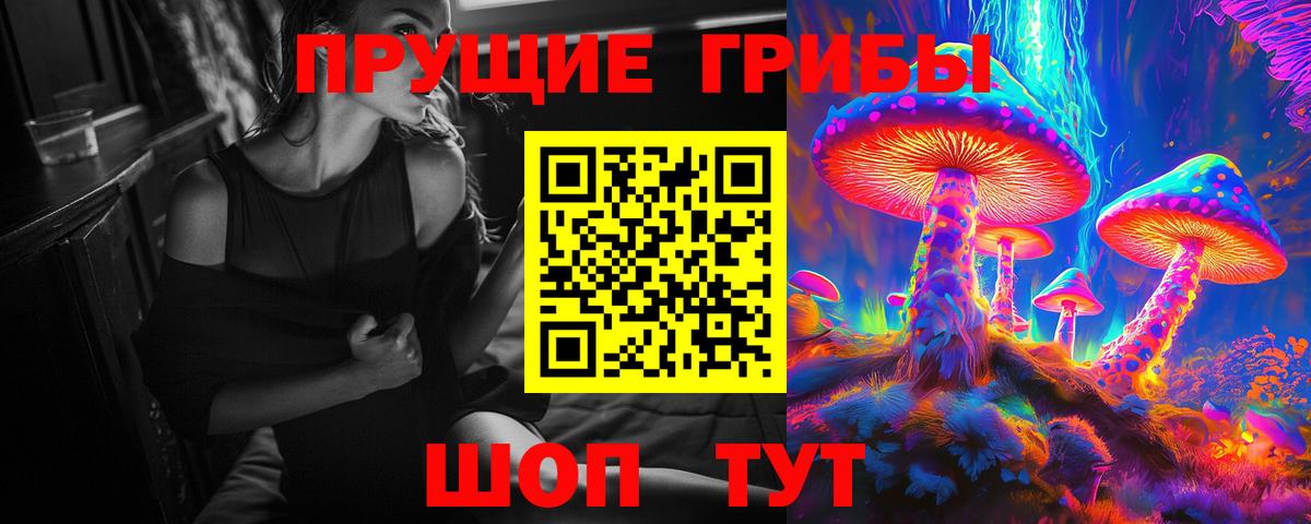 Реутов  Псилоцибиновые грибы Psilocybine cubensis  дарнет шоп  Вход с VPN  Псилоцибиновые грибы Cubensis 