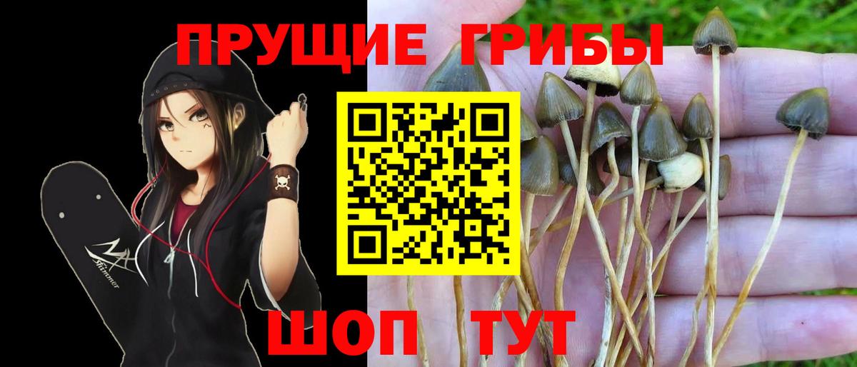 Галлюциногенные грибы мухоморы Реутов